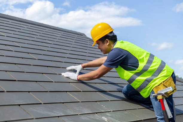 Best Roof Gutter Cleaning  in Homosassa, FL