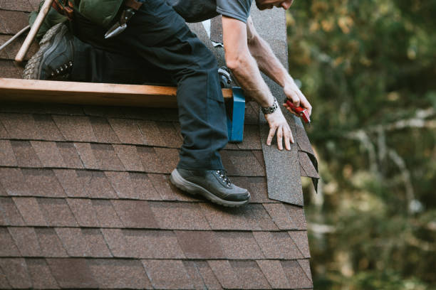 Best Roof Gutter Cleaning  in Homosassa, FL